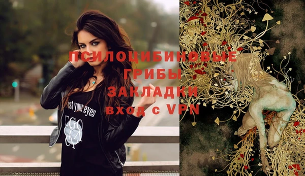 ешки Белокуриха