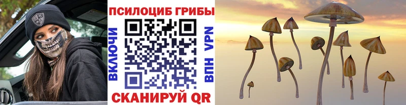 купить наркотик  Кубинка  Псилоцибиновые грибы мицелий 